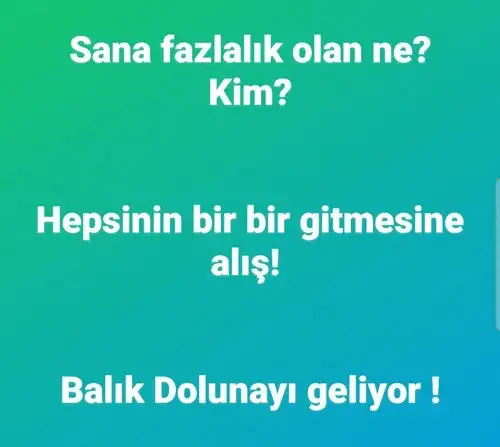 balık2 (1).webp
