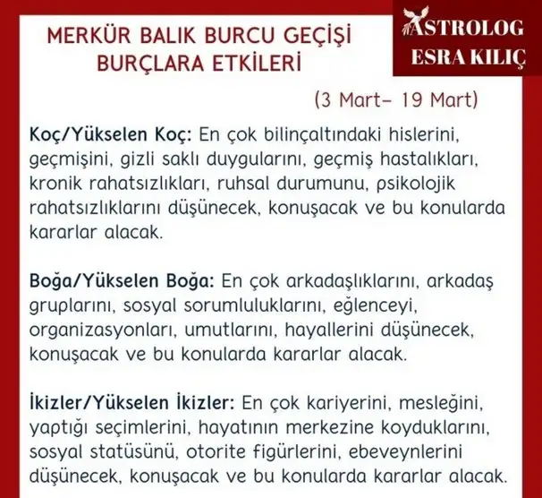 balık2 (1).webp