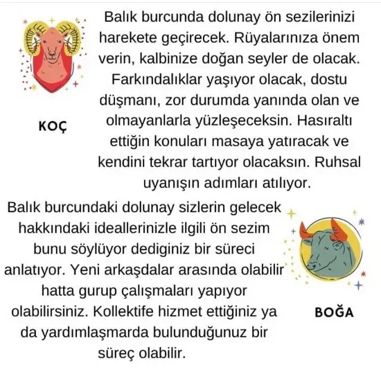 balık2 (2).webp