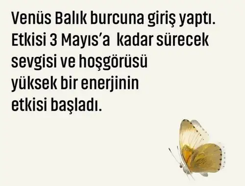 balık2 (2).webp