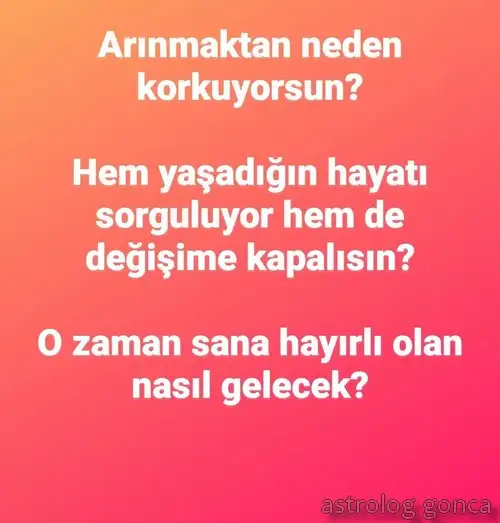 balık2 (2).webp