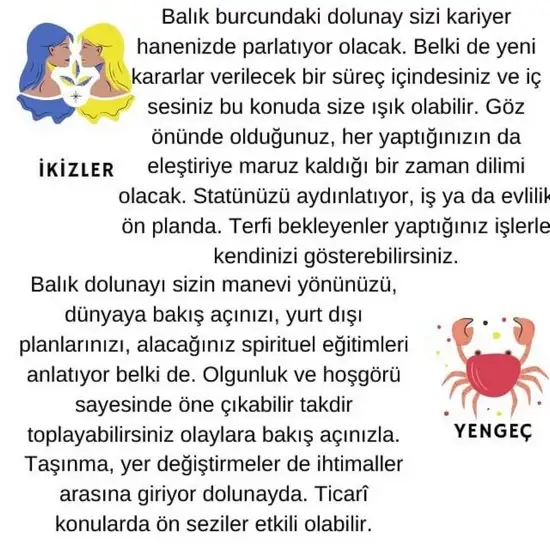 balık2 (3).webp