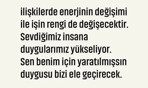 balık2 (3).webp
