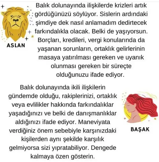 balık2 (4).webp