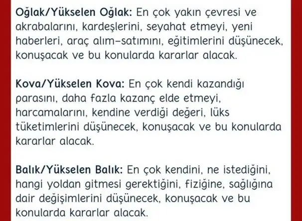 balık2 (4).webp
