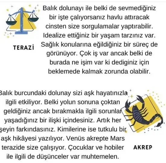 balık2 (5).webp
