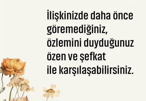 balık2 (5).webp