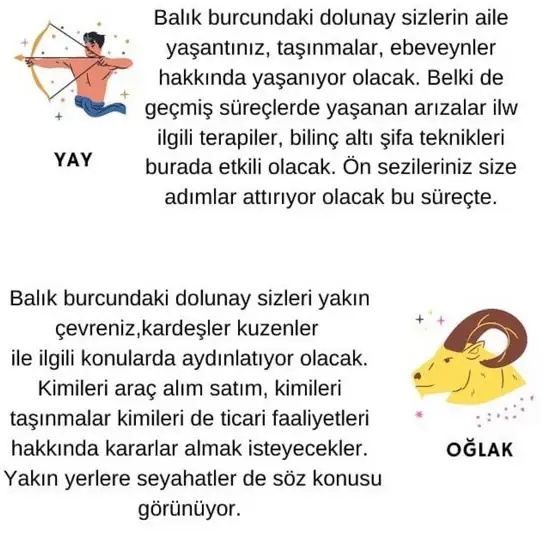 balık2 (6).webp