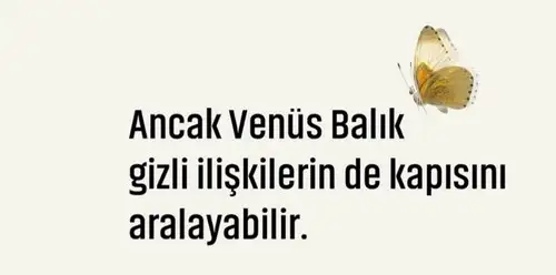balık2 (6).webp