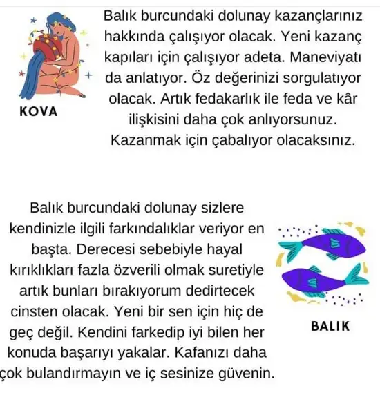 balık2 (7).webp