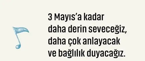 balık2 (9).webp