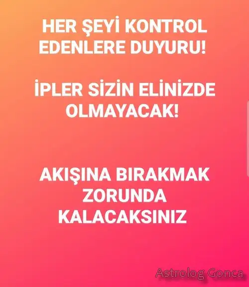 balık2.webp