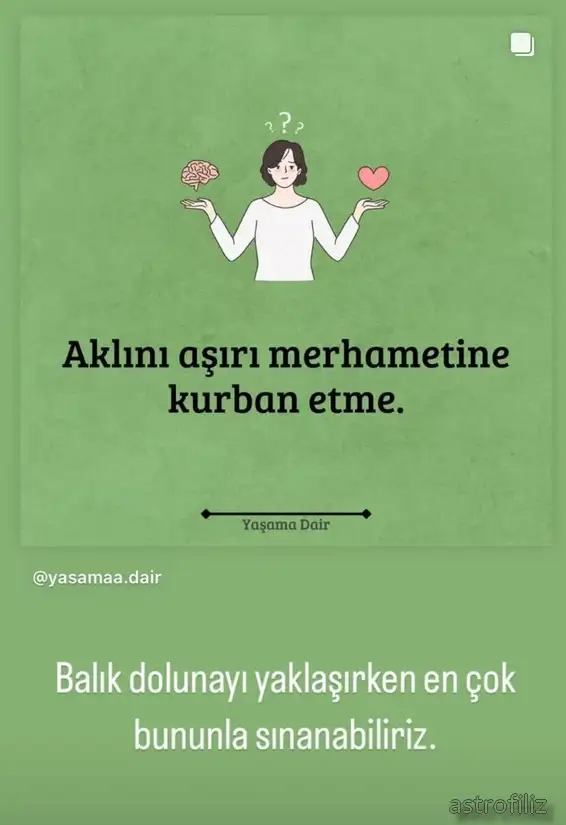 balık2.webp