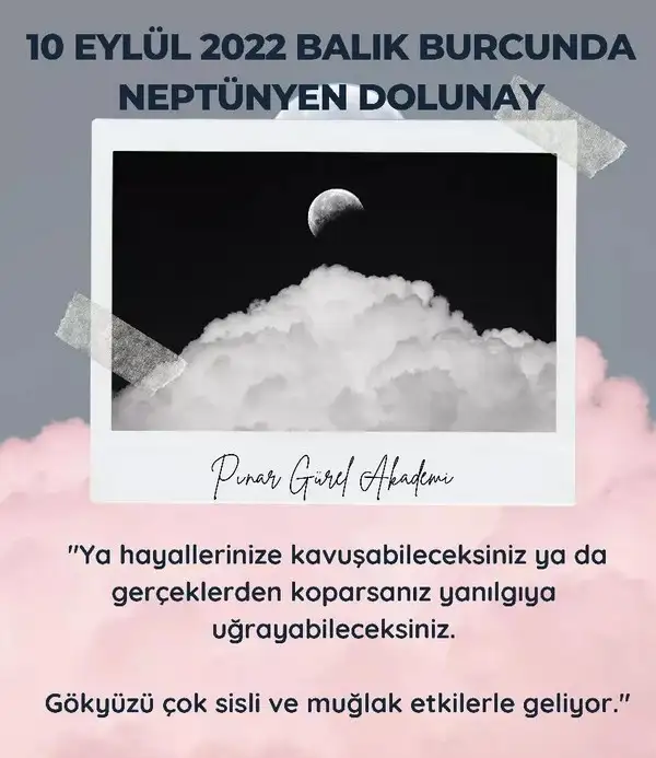 balık20 (1).webp