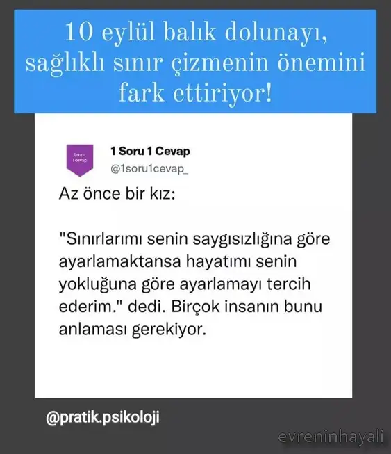 balık20.webp