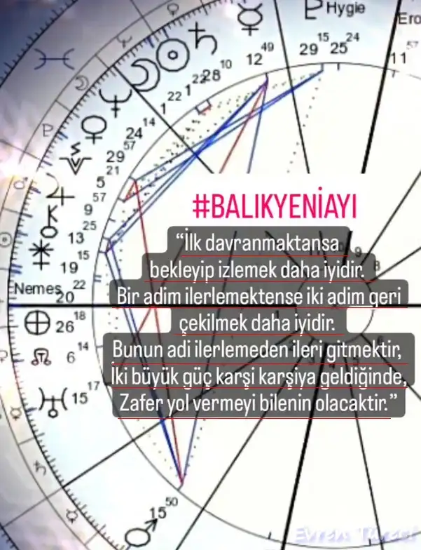 balık20.webp