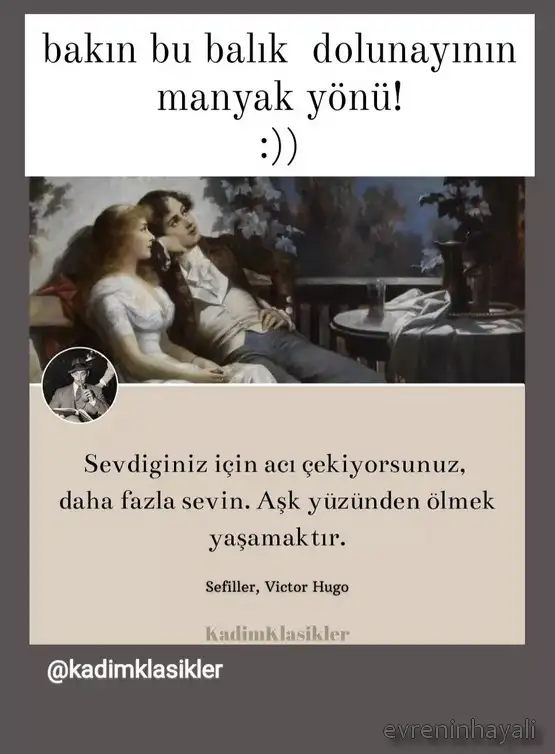 balık21.webp