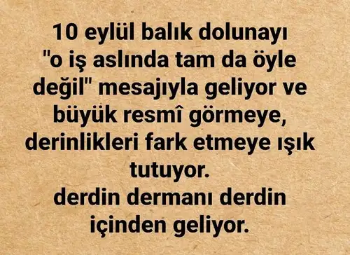 balık22 (1).webp