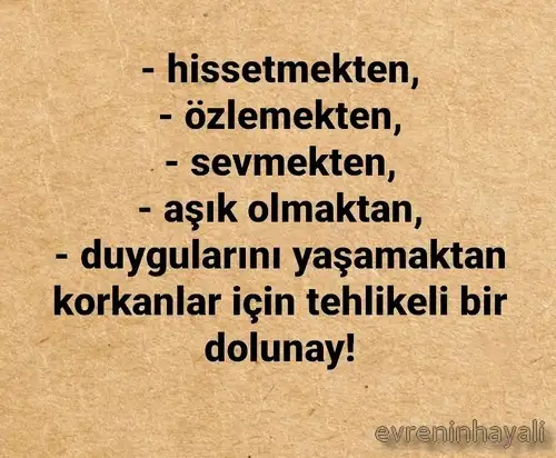 balık22 (2).webp