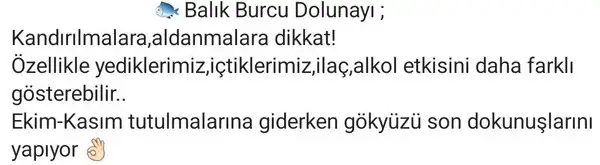 balık22.webp