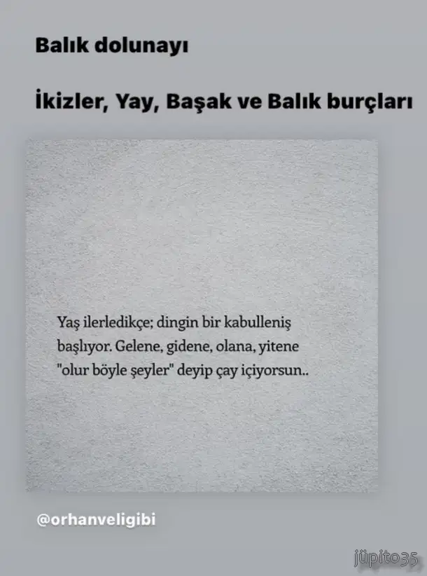 balık22.webp