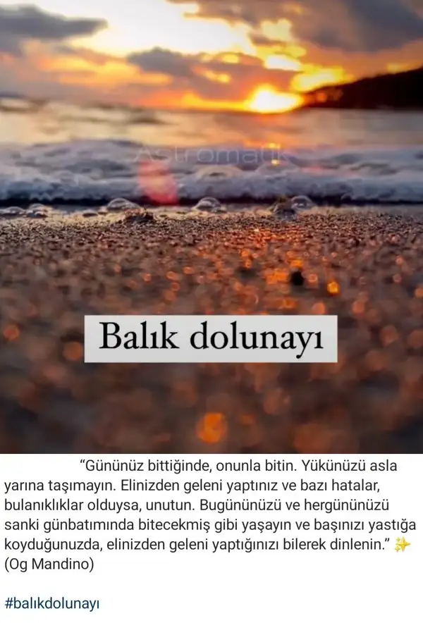 balık22.webp