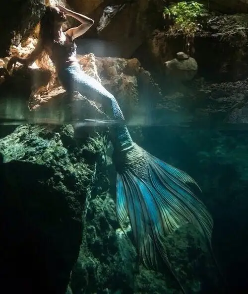 balık23.webp