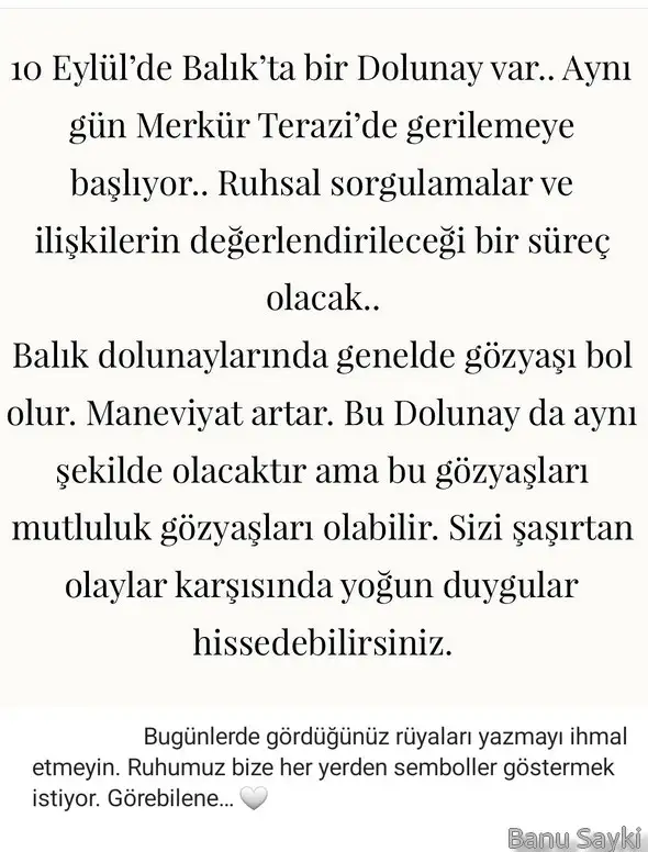 balık23.webp