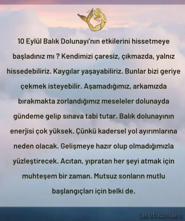 balık23.webp