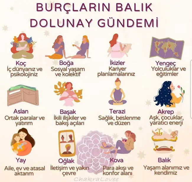 balık24.webp