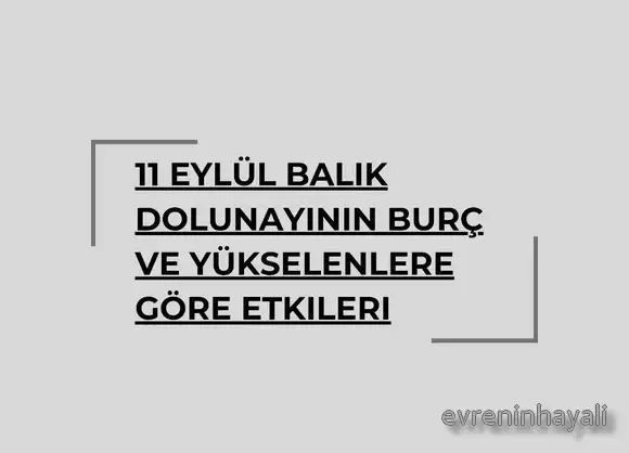 balık26 (1).webp