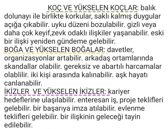 balık26 (2) - Kopya.webp