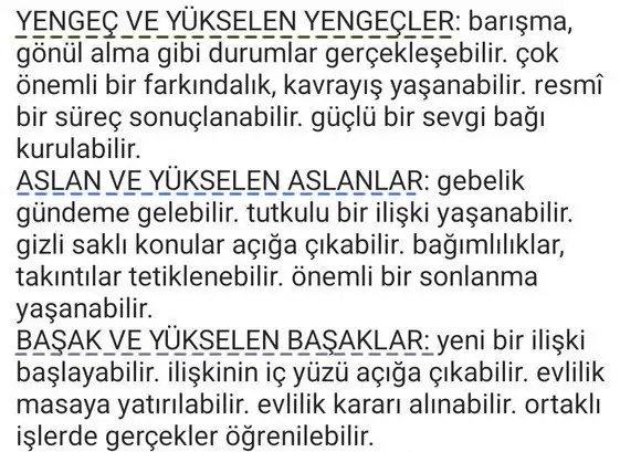 balık26 (2).webp