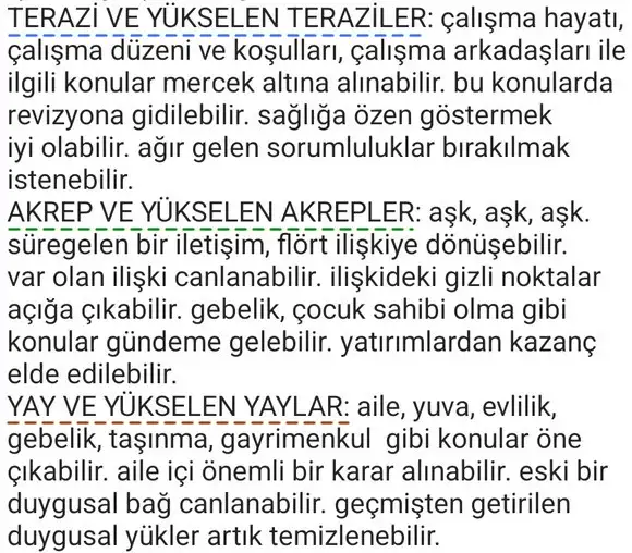 balık26 (3).webp