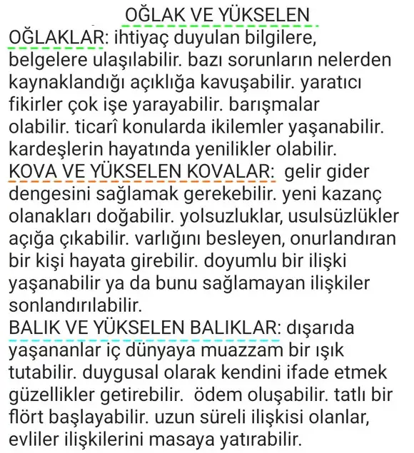 balık26 (4).webp