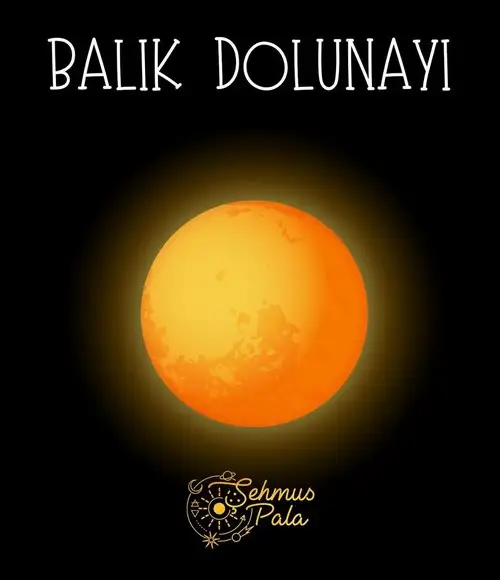 balık29 (1).webp