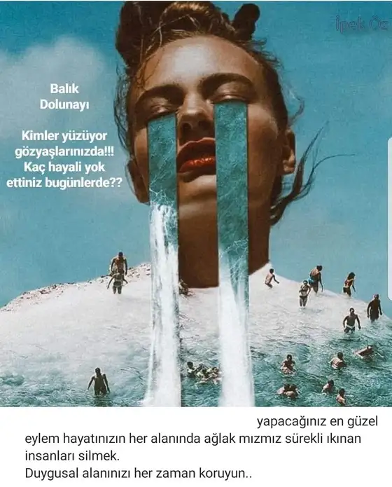 balık3 (1).webp