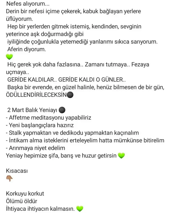 balık3 (1).webp