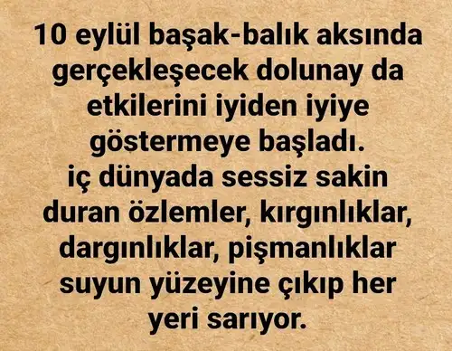 balık3 (1).webp