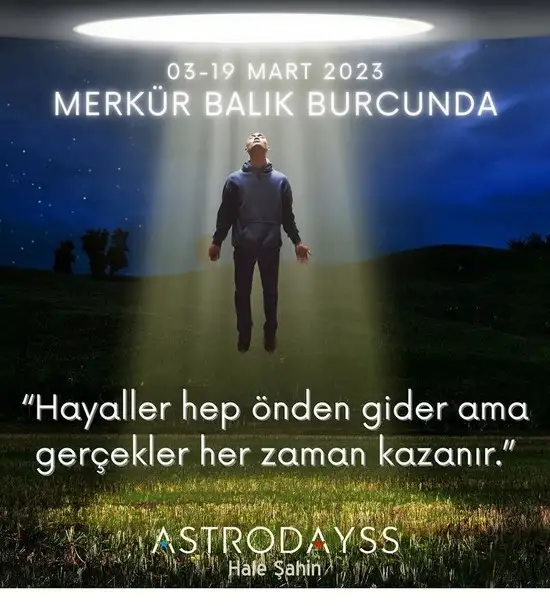 balık3 (1).webp