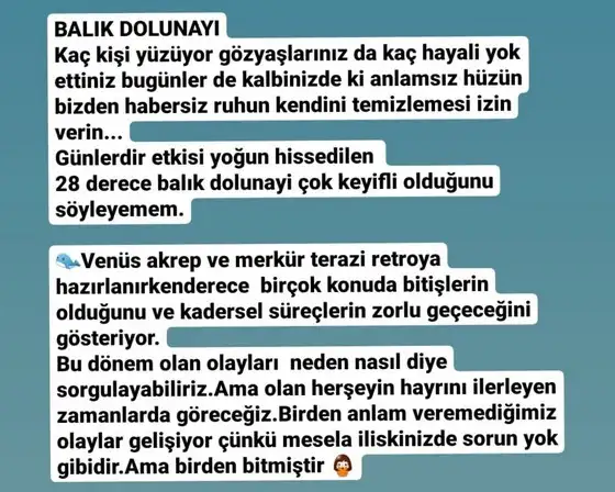 balık3 (2).webp