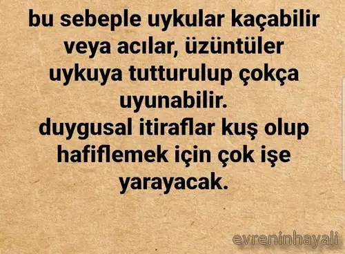 balık3 (2).webp