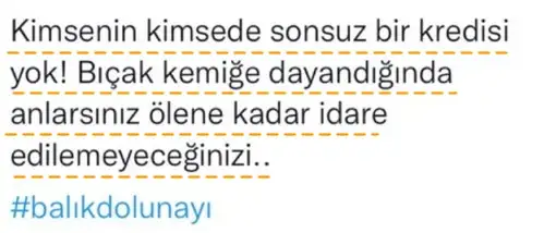 balık3 (2).webp