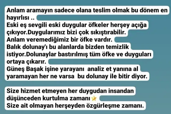 balık3 (3).webp
