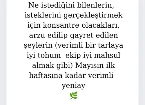 balık3 (3).jpg