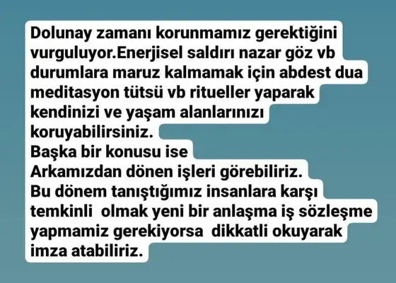 balık3 (7).webp