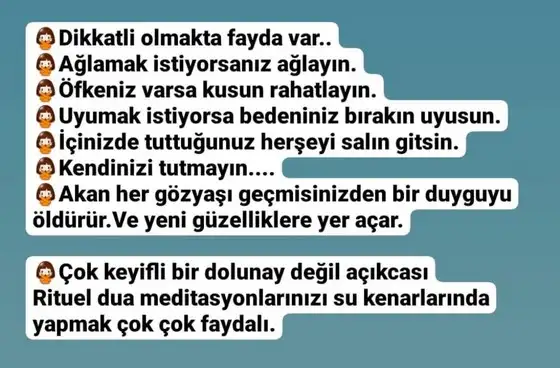 balık3 (8).webp