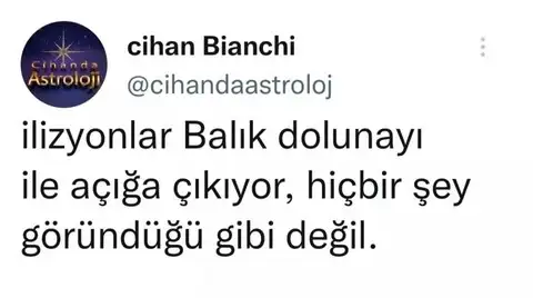 balık30 (1).webp