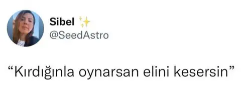balık30 (1).webp