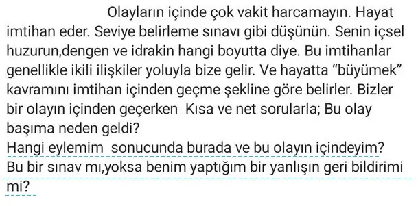 balık30 (2) - Kopya.webp